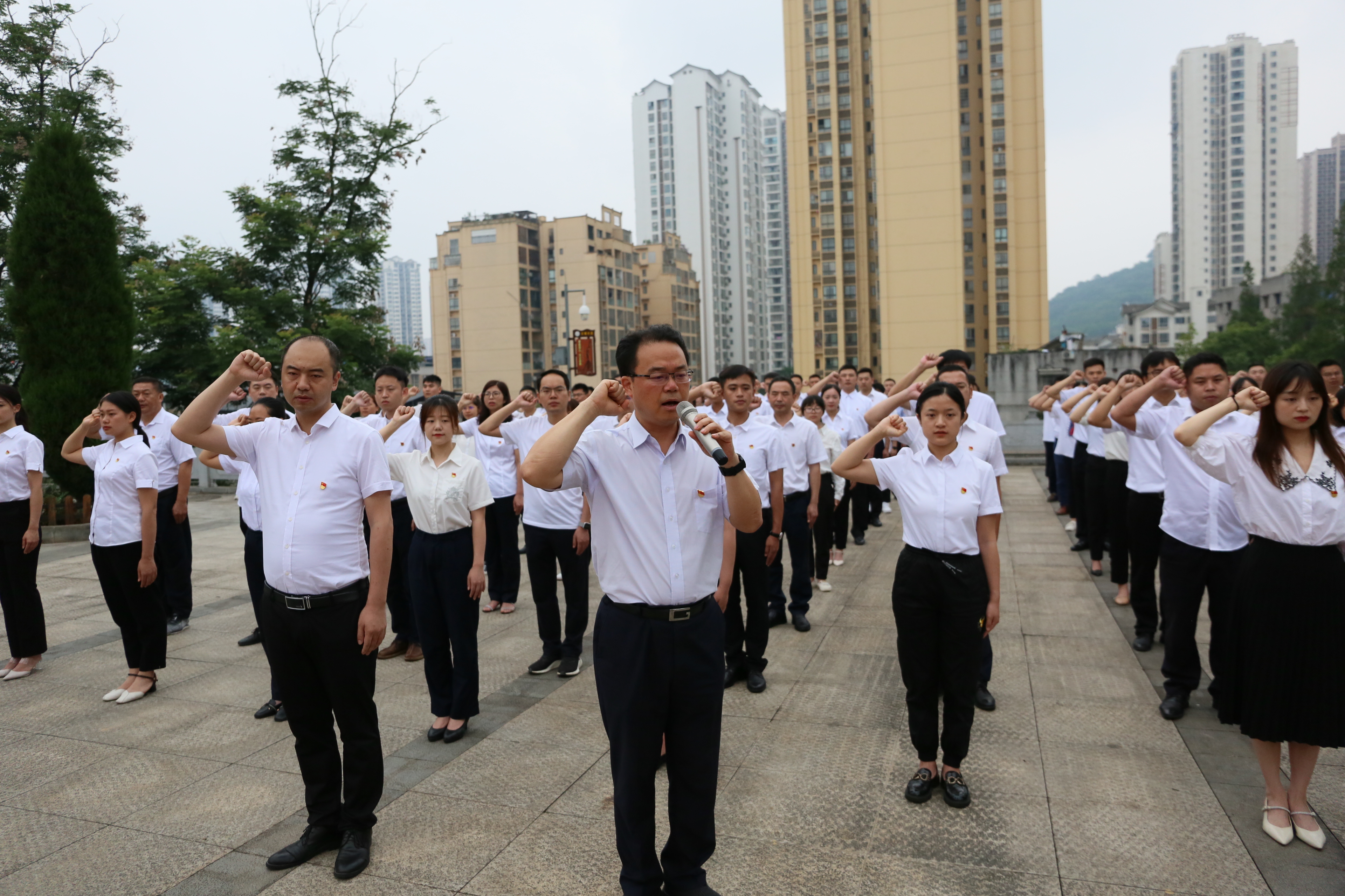 大足区100名新党员代表集体入党宣誓