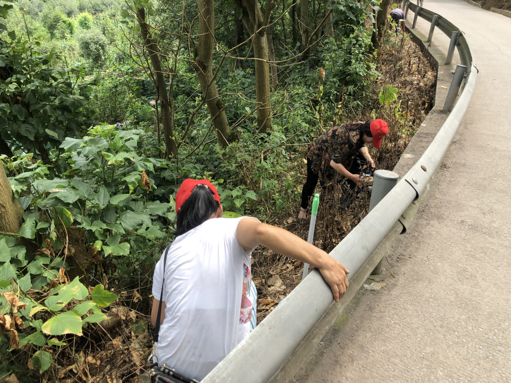 惠民街道晓春村:助力人居环境整治 志愿者在行动