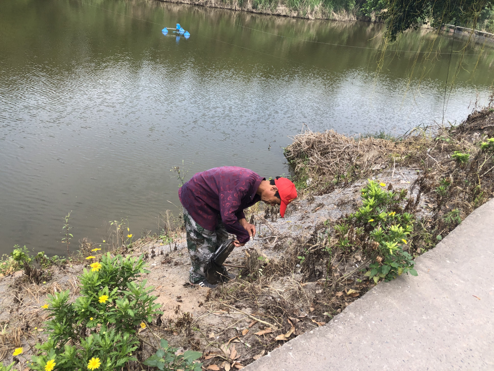 惠民街道晓春村:助力人居环境整治 志愿者在行动