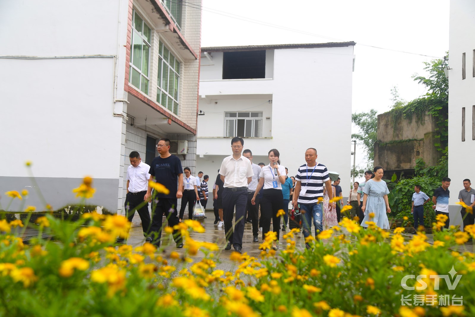 全区农村人居环境整治现场拉练暨村庄清洁行动夏季战役活动启动2 (复制).jpg