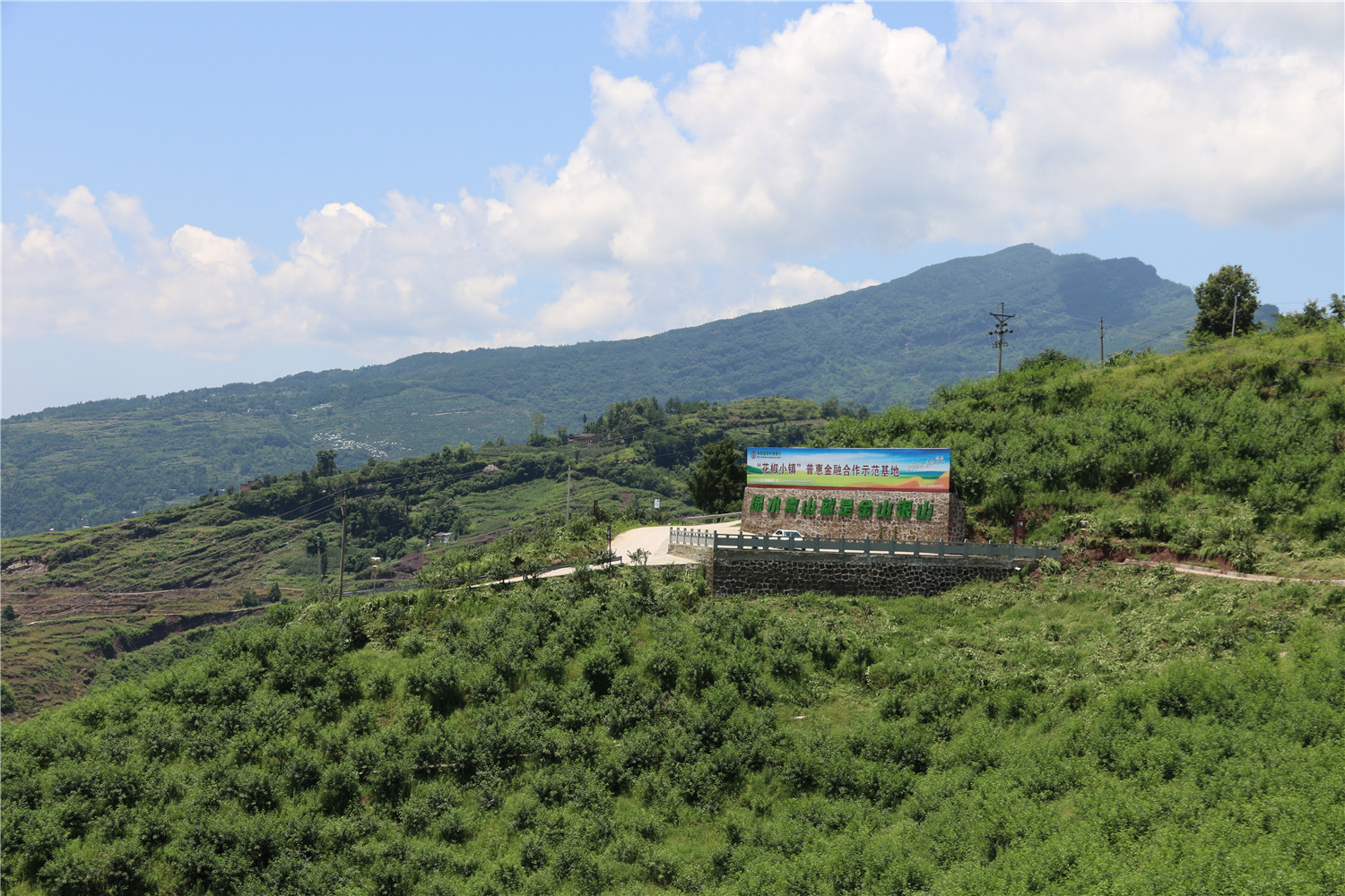重庆奉节:"小花椒"成村民"致富树"