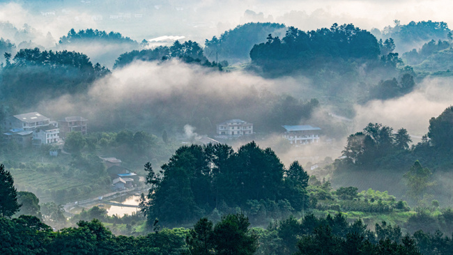 重庆南川汉场坝村:云遮雾绕风景美