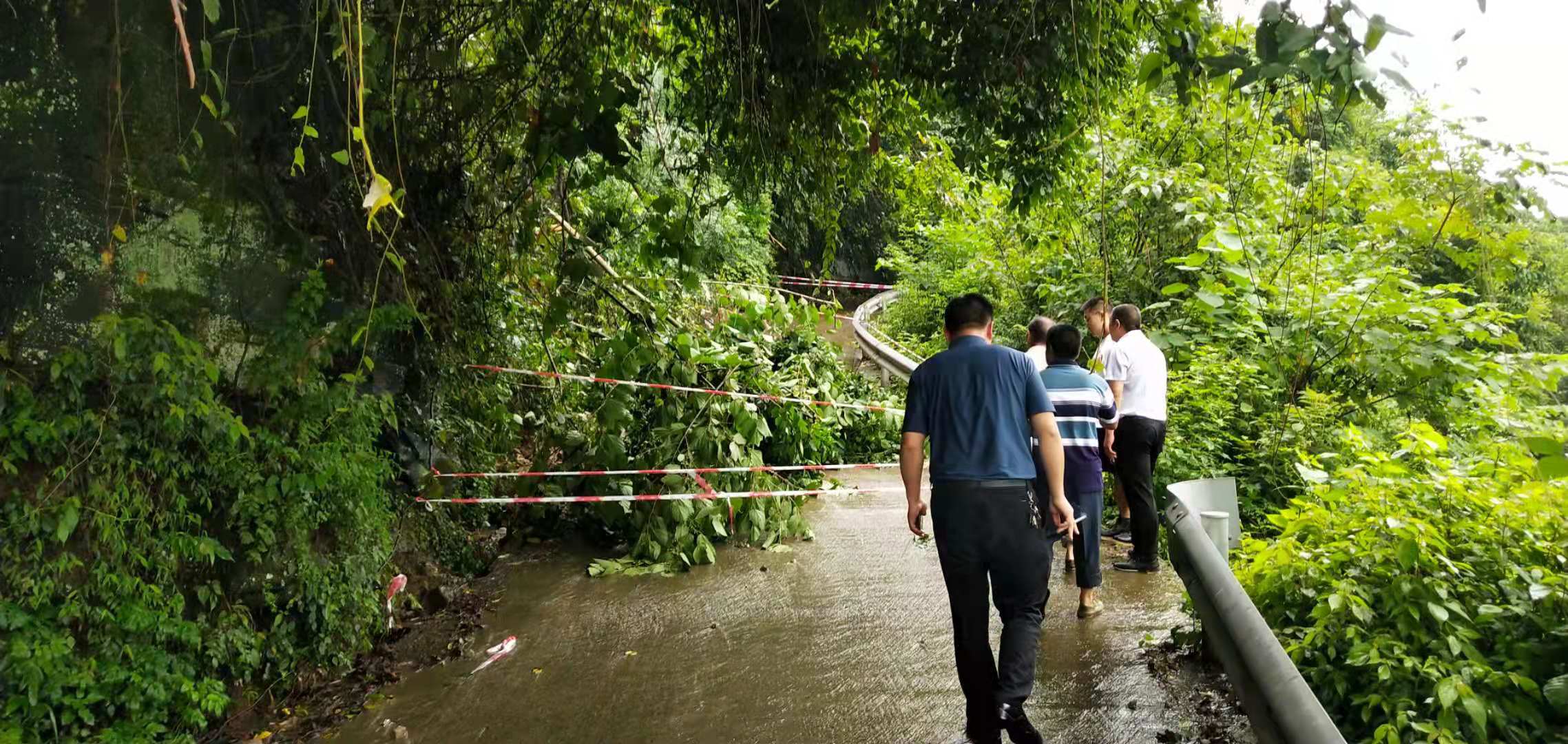 7.8贺部长检查雨山村六社地质滑坡.jpg