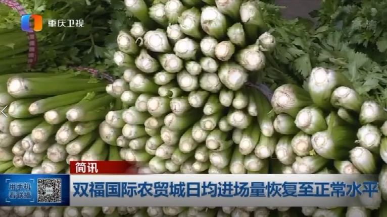 微信截图_20200315111327