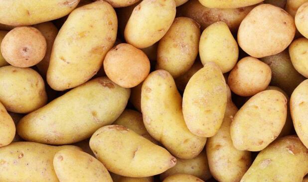 QQ截图20200212160144