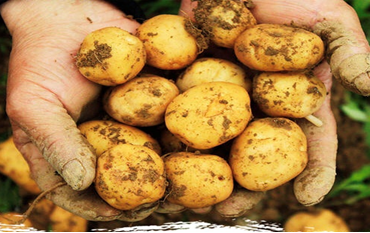 QQ截图20200310184622