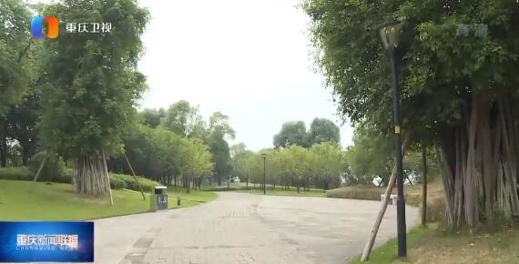 QQ截图20200131103012