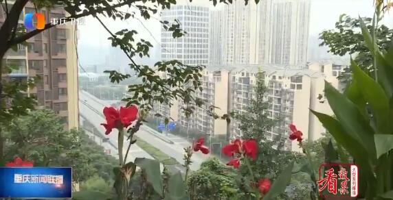 QQ截图20200131103012