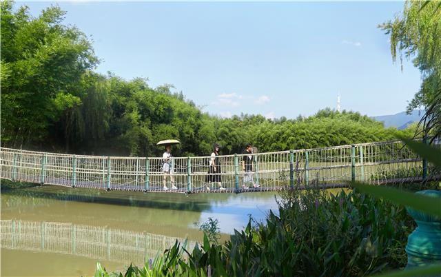 重庆梁平:寻觅三峡竹博园的幽静怡然