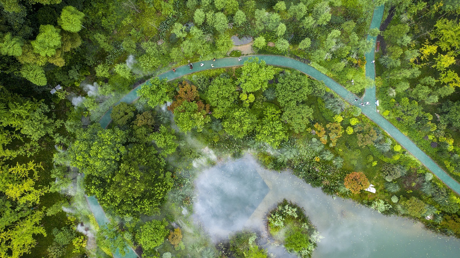 重庆北碚:生态黛湖景如画