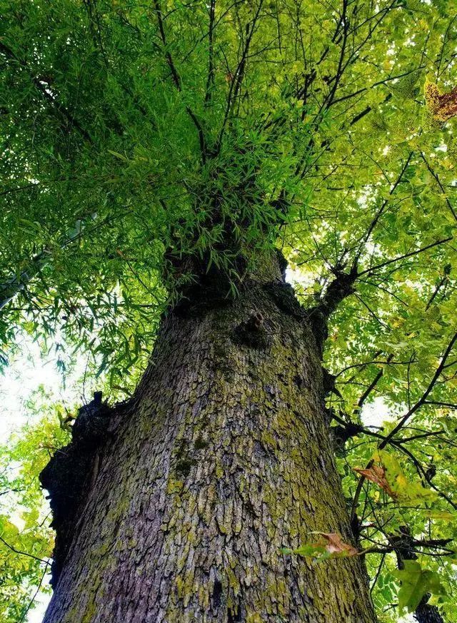 秀山古老村落——李家院--重庆新时代文明实践云平台