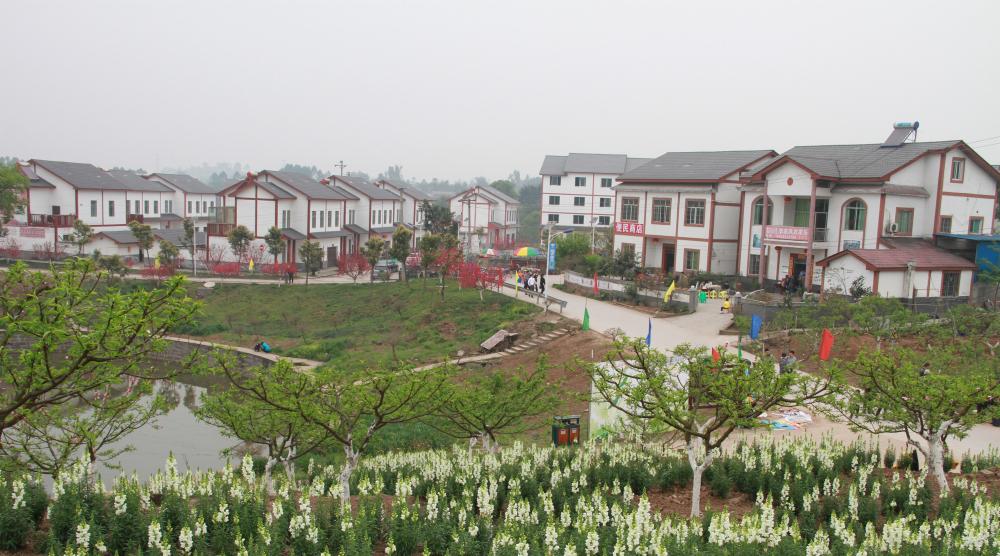 永川最美乡村公路五间镇渡同路