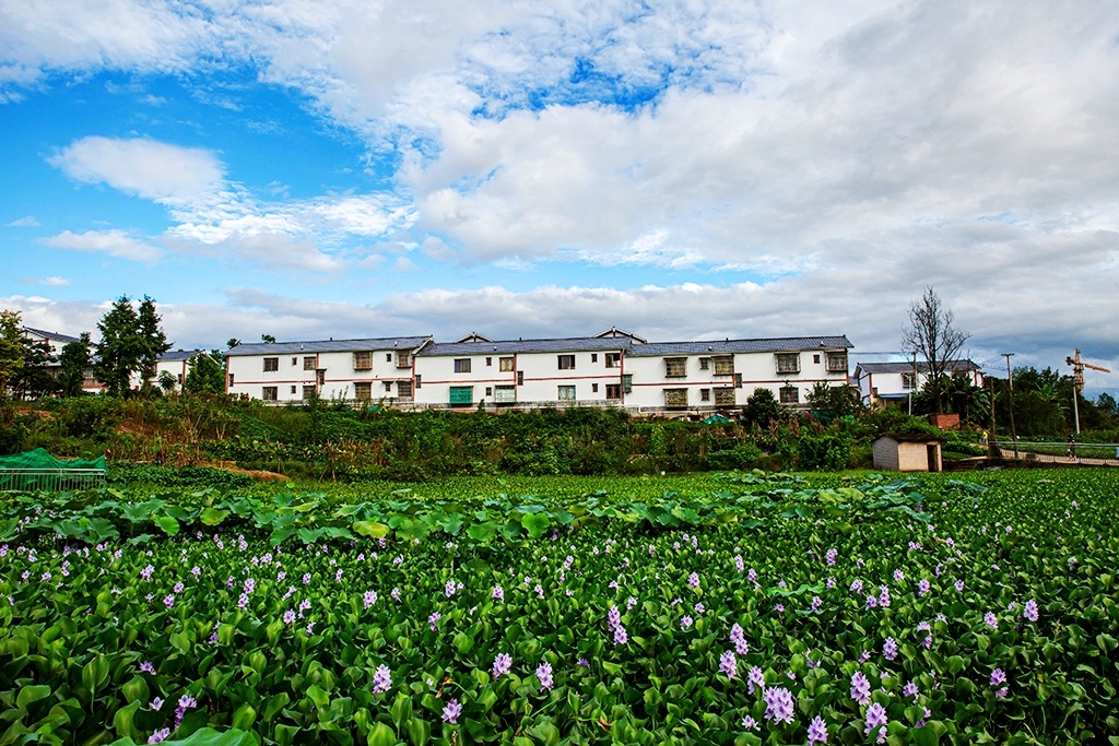 忠县天子村——矗立于城郊山顶的"绿色村庄"