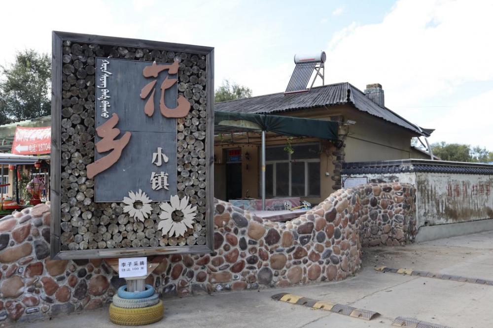 ("花香小镇"义勒力特嘎查 央视网记者 王静远 摄)