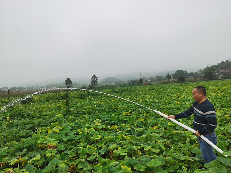 重庆涪陵污水变身灌溉水农村治污走出新路子