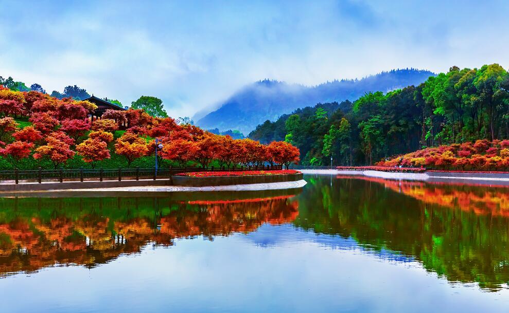 重庆巴南:多图晒美!南湖1800亩红枫林迎来观赏期