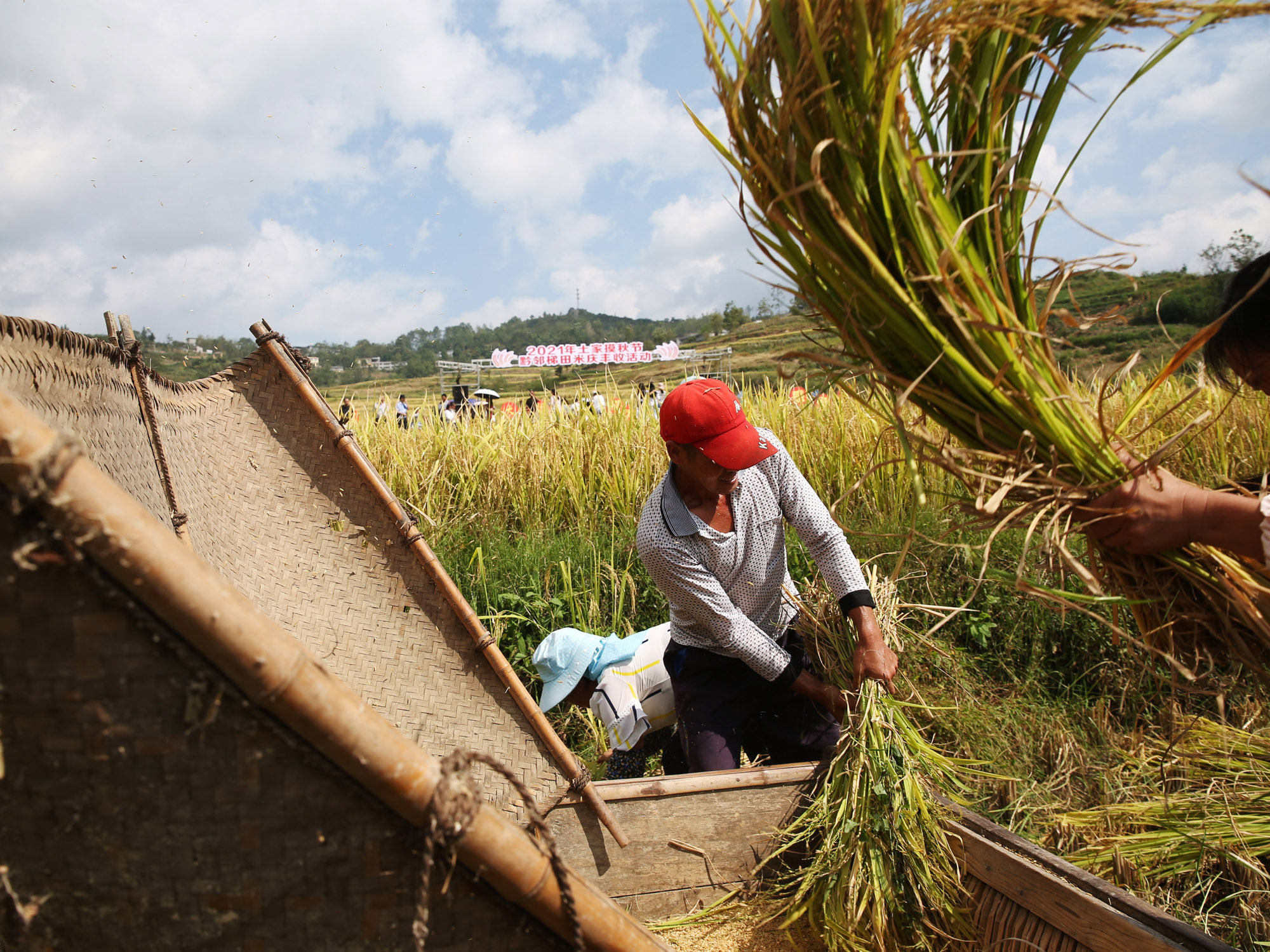 重庆黔江农事比赛庆丰收千人同吃新米宴