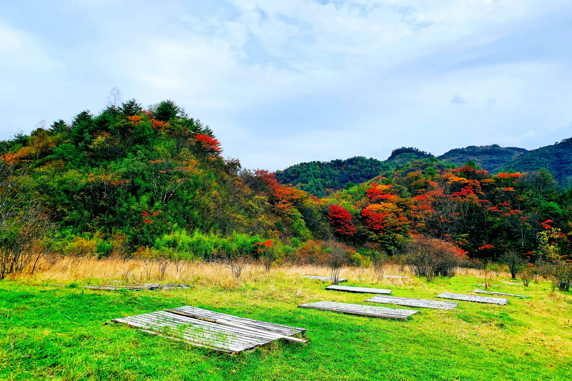 重庆城口秋日黄安坝风景美如画