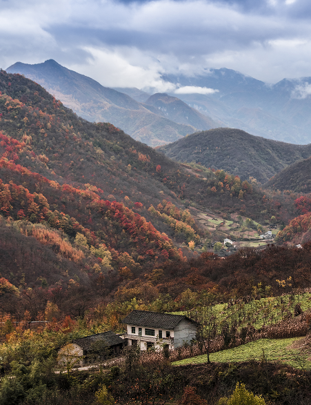 重庆城口:又到彩叶烂漫时