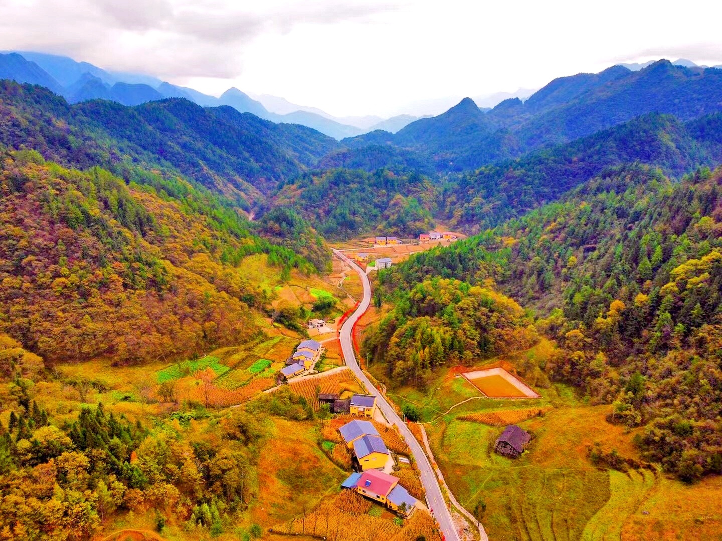 重慶城口:層林盡染秋意濃