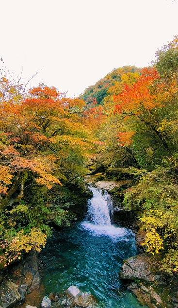 重庆城口藏在山溪里的别样秋景