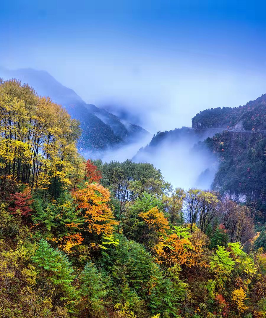 重庆城口旅游景点图片