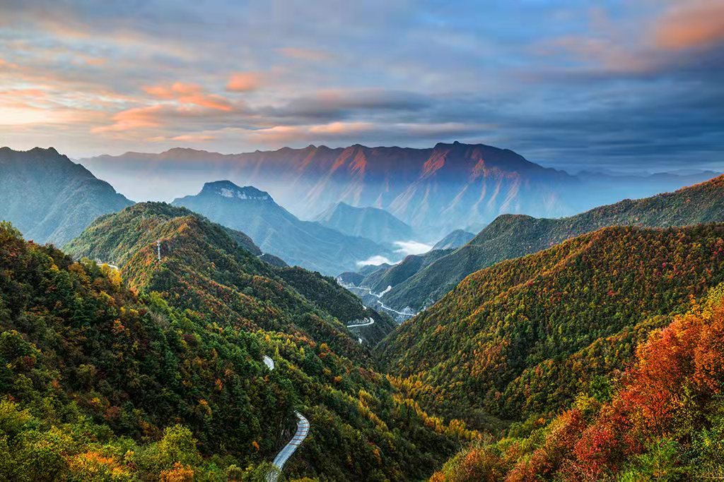 重庆秋色最美的地方图片