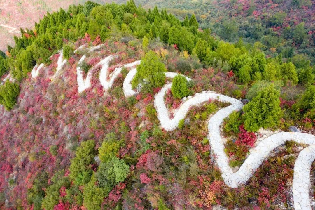 段步游道 资料图.jpg