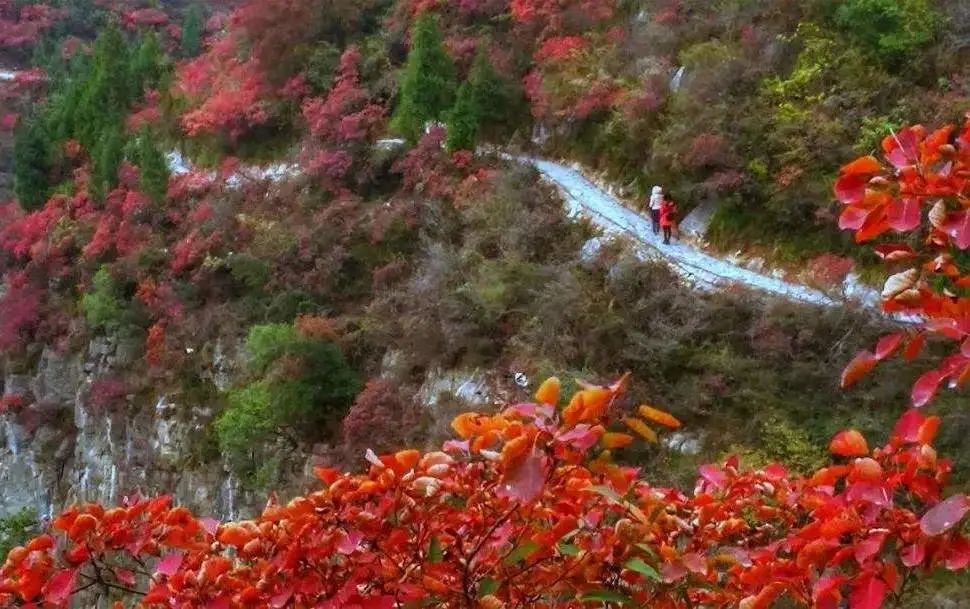 市民徒步危石鸟道  资料图.jpg