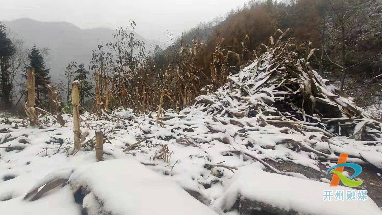 开州迎来今冬的第一场雪！“雷火电竞首页”(图4)