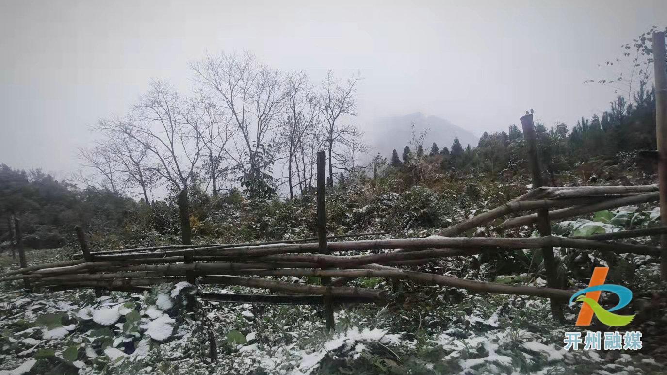 开州迎来今冬的第一场雪！“雷火电竞首页”(图5)