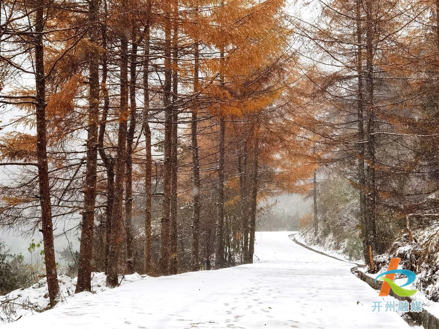 开州迎来今冬的第一场雪！“雷火电竞首页”(图2)