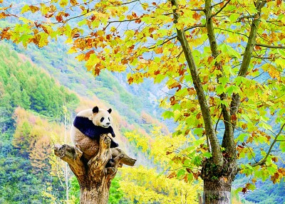以生态之眼观“胡焕庸线”