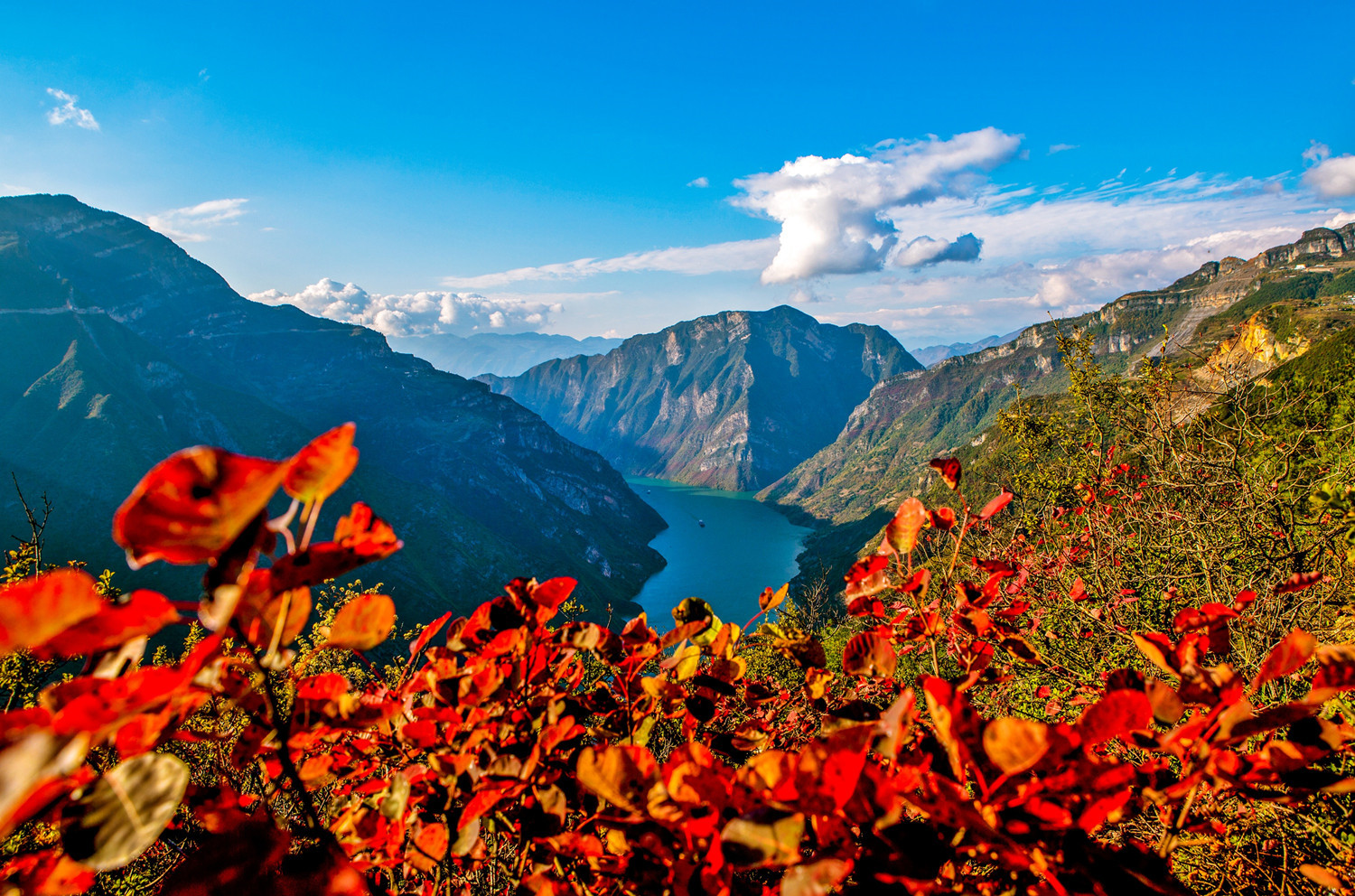 俯视长江,漫山红叶深处,百舸争流,立体地展现出多姿多彩的三峡画廊