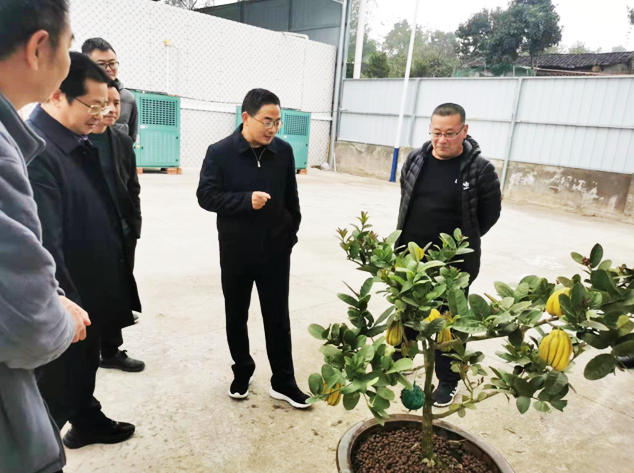 谭新生督导调研疫情防控和产业发展等工作