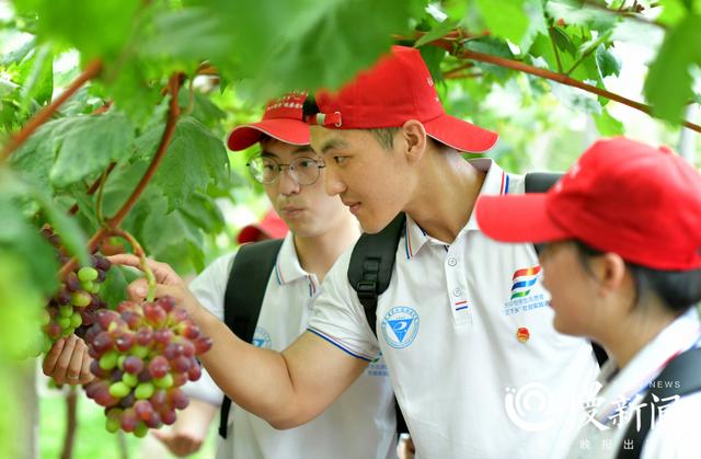 这里也是大学生的三下乡基地 西彭镇供图