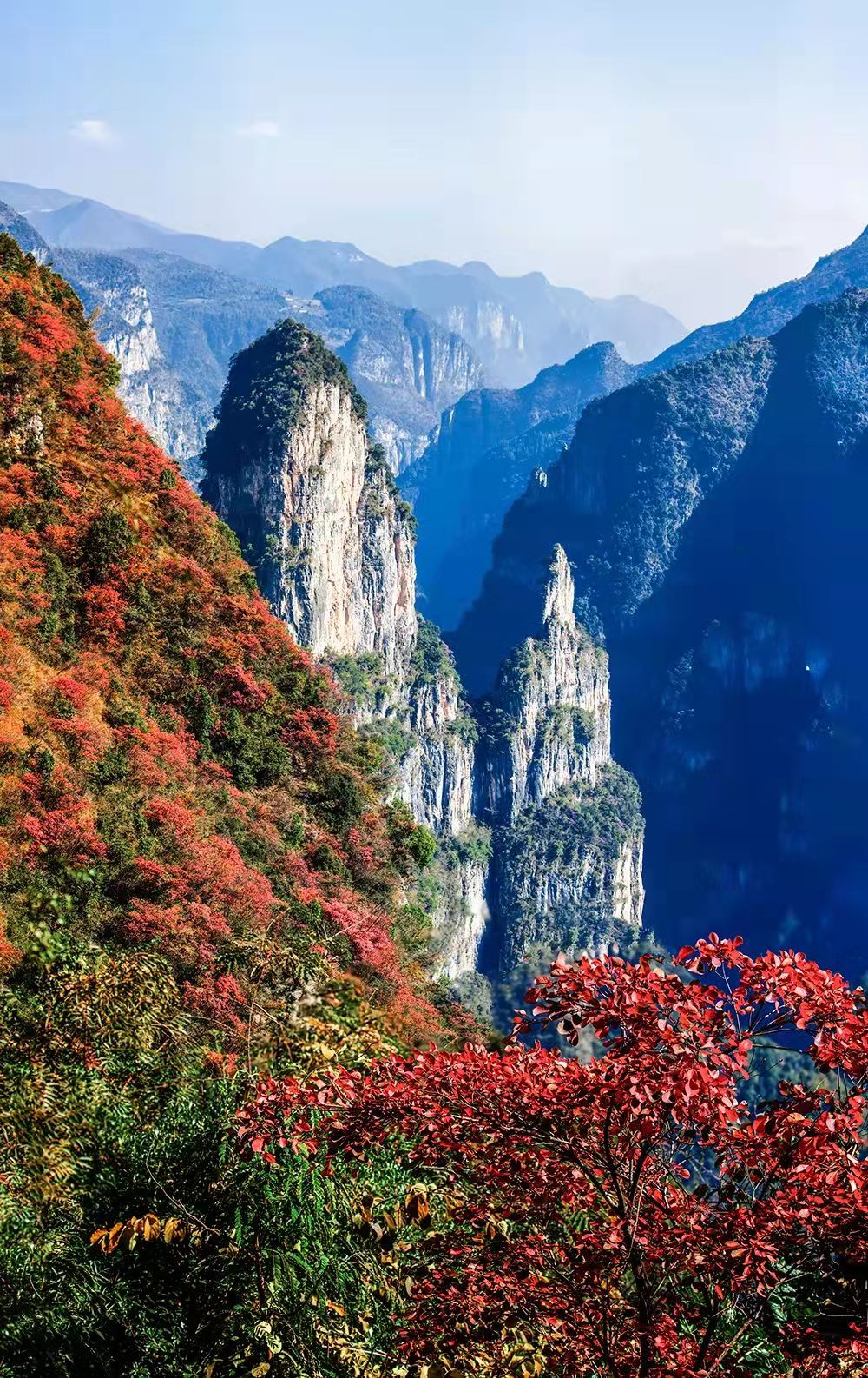 红叶和景区的丹崖,碧水构成一幅别有韵味的山水画卷.