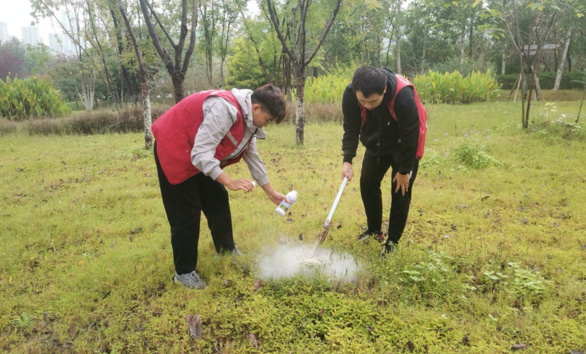 县工业园区开展红火蚁防治工作