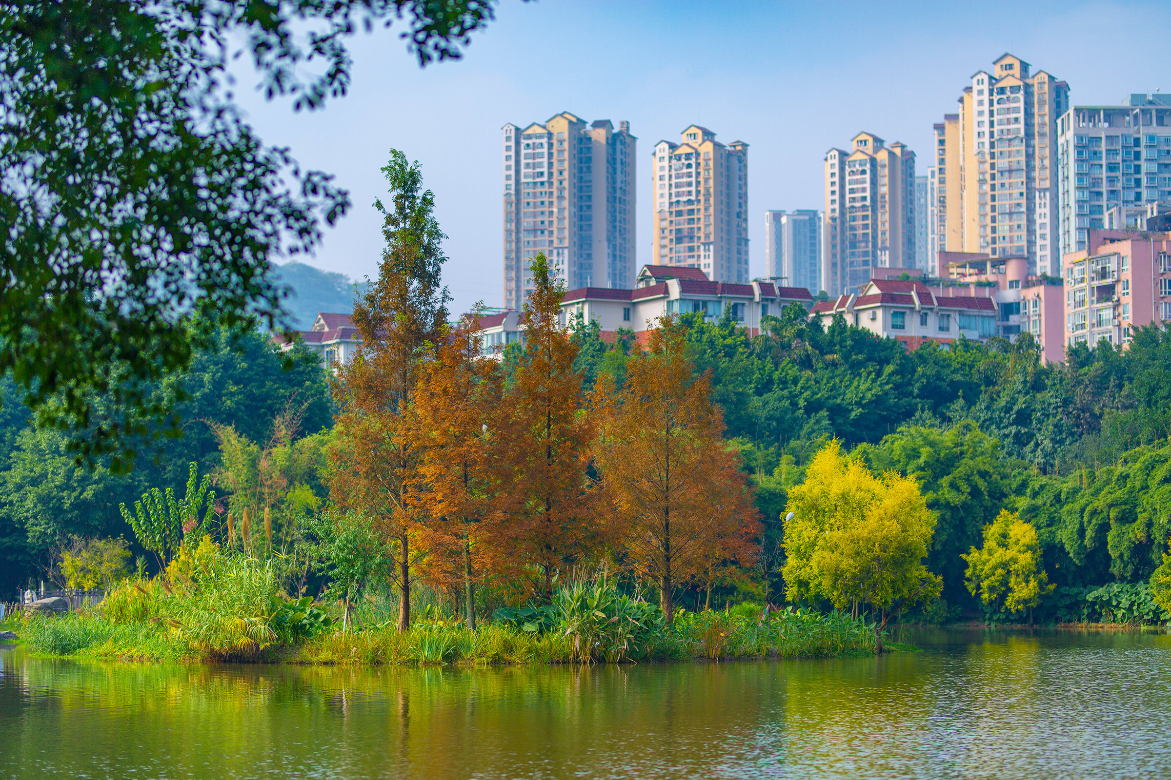 重庆大渡口冬日里的五彩浪漫