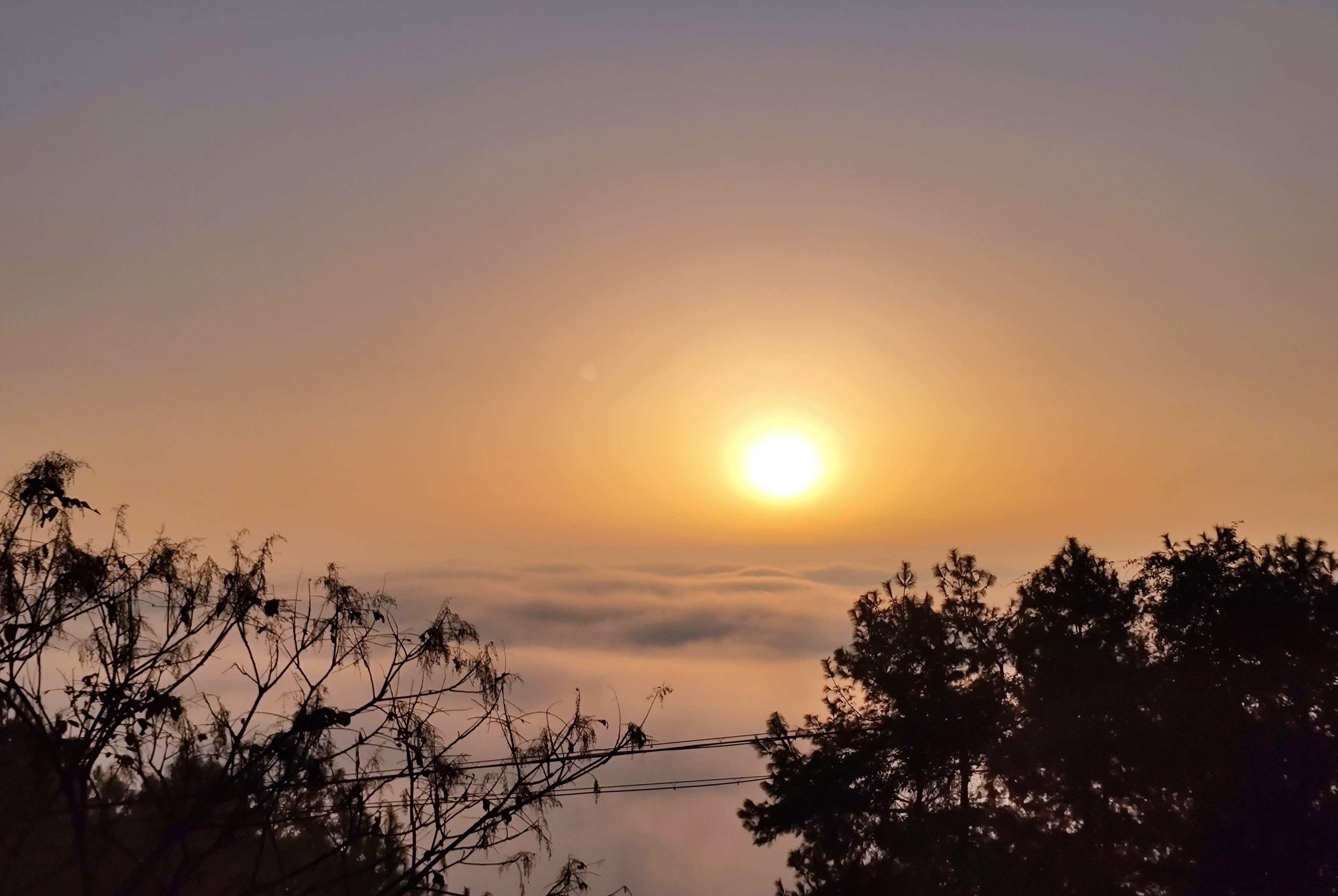 李渡街道黄草山云海美景.黄河 摄