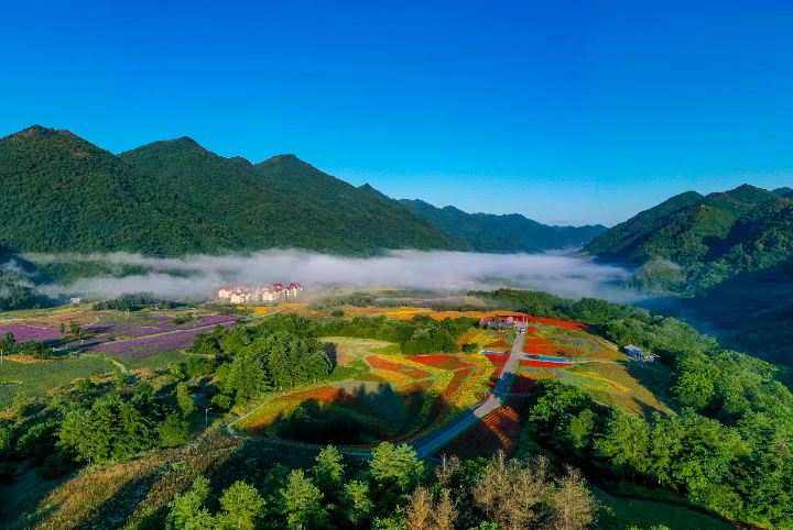 红池坝云中花海图片