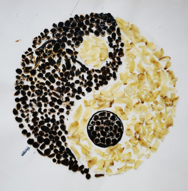 八卦图小学组鲜滨阳王端端