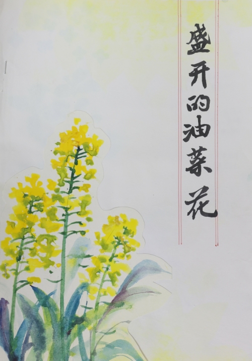 油菜花作者是谁图片