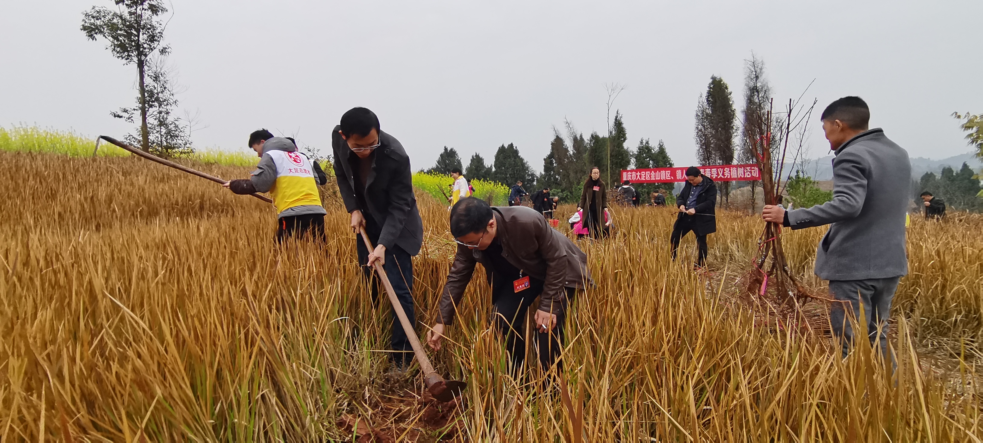 义务植树活动1.jpg