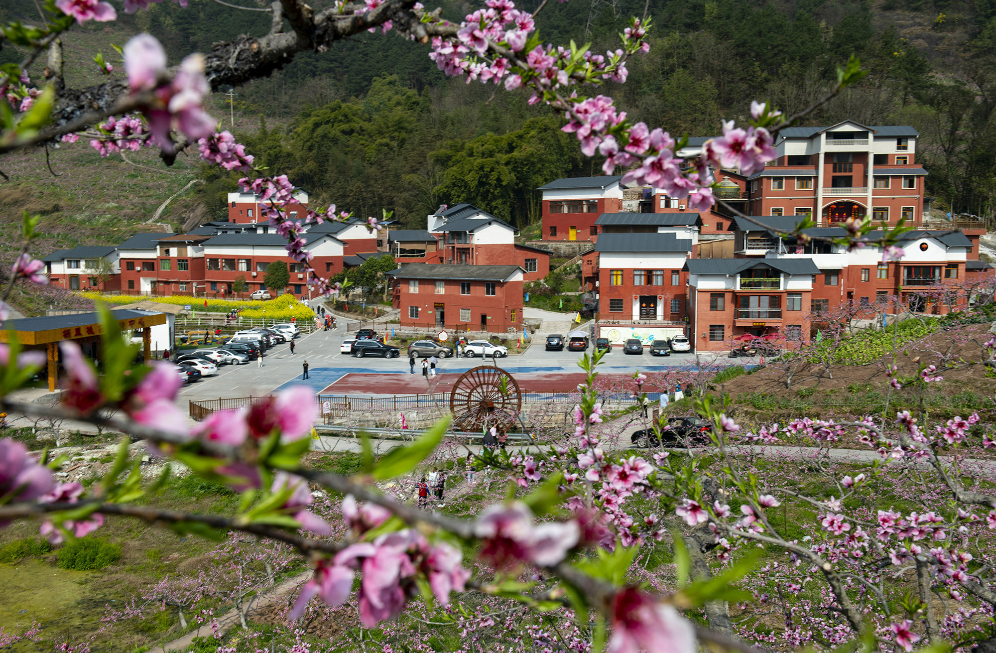 万州乡村旅游景点图片