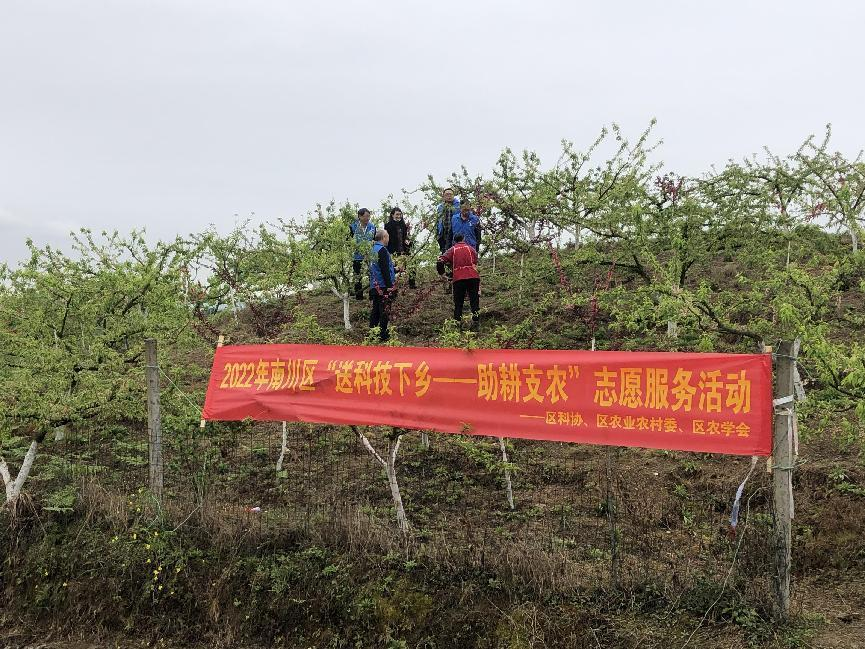 南川区科协开展助耕支农&ldquo;李子树管护培训&rdquo;志愿服务活动.png