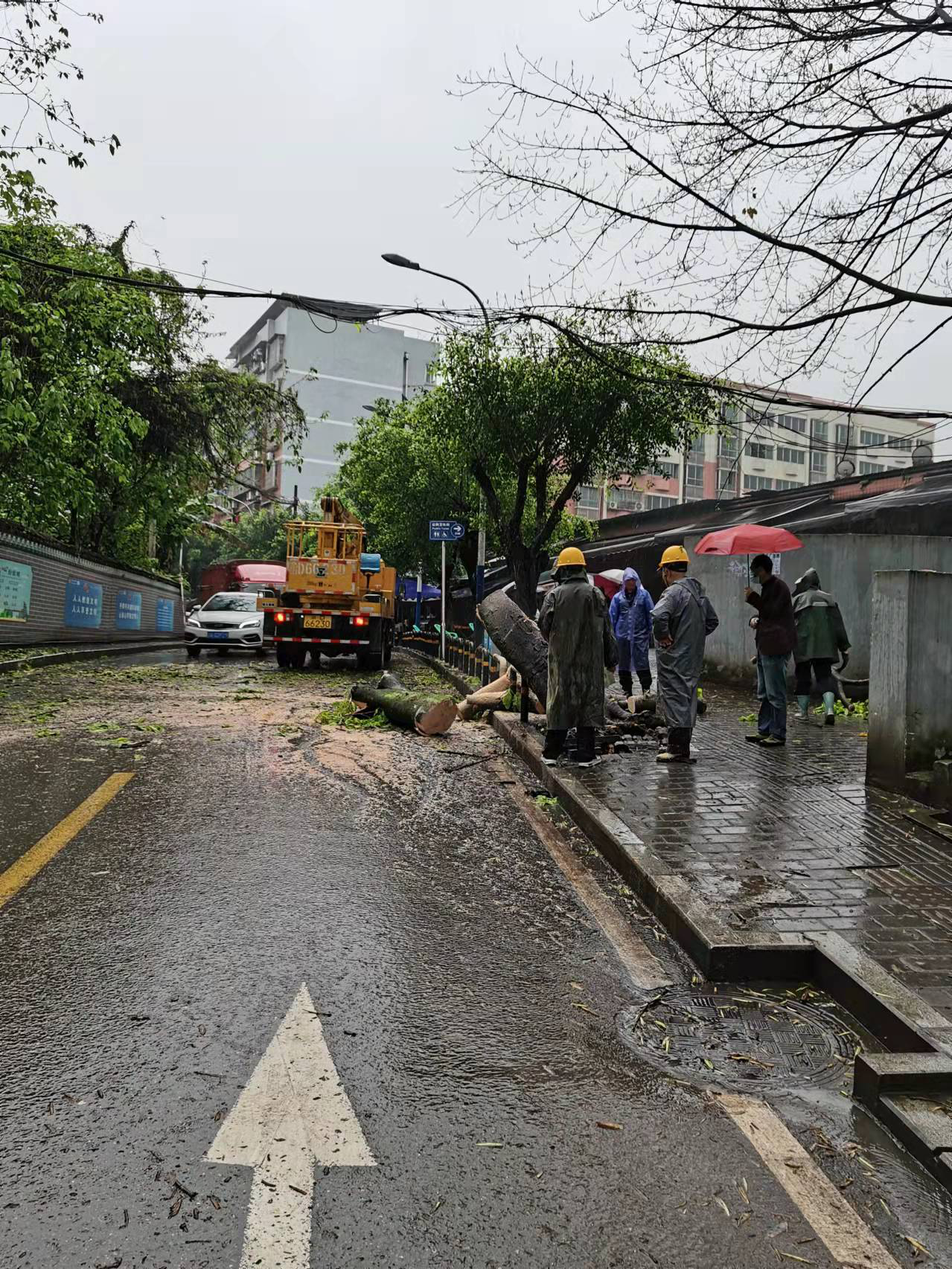 排查安全隐患：花溪街道陈家湾社区及时处置倒伏树木 (1).png