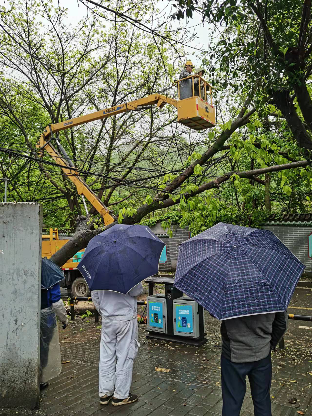 排查安全隐患：花溪街道陈家湾社区及时处置倒伏树木 (3).png