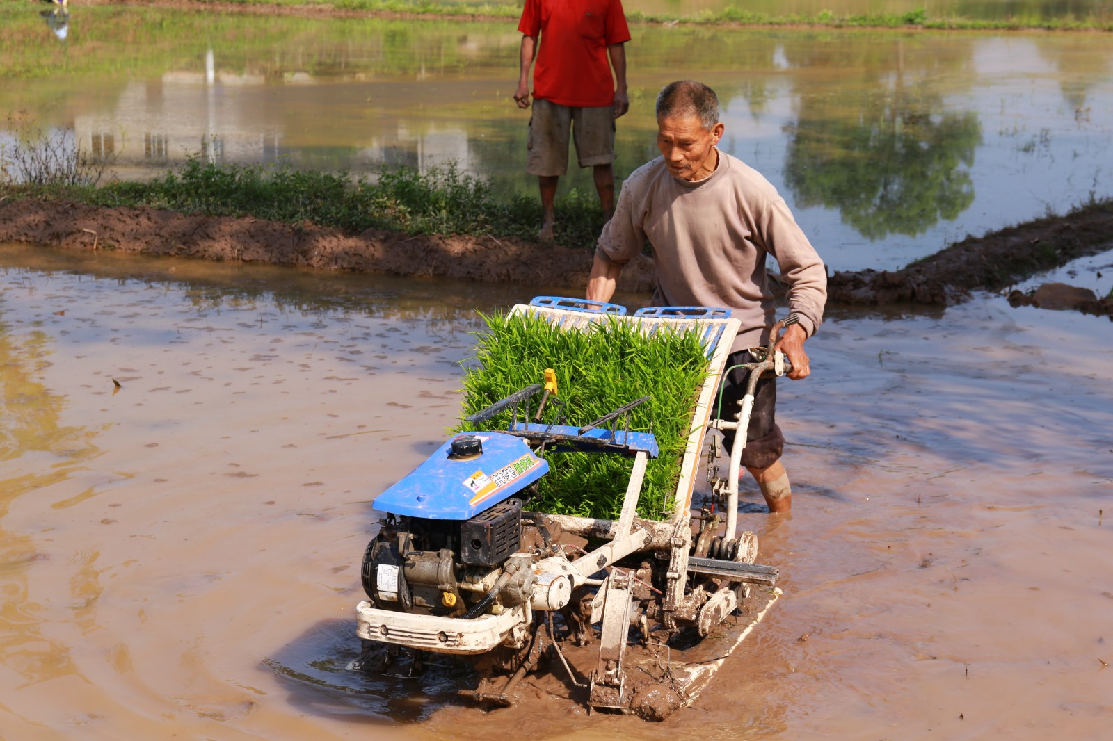江津种粮能手王中培
