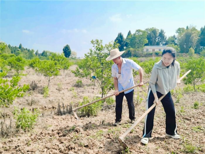 古媛和村民一起参加劳动。
